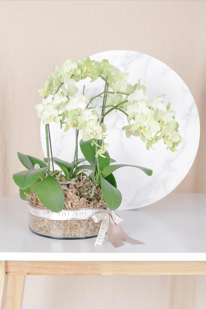 Vivi by Flossom Polymia Glass Vase (Medium Orchids) | The Nest Attachment Parenting Hub