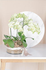 Vivi by Flossom Polymia Glass Vase (Medium Orchids) | The Nest Attachment Parenting Hub