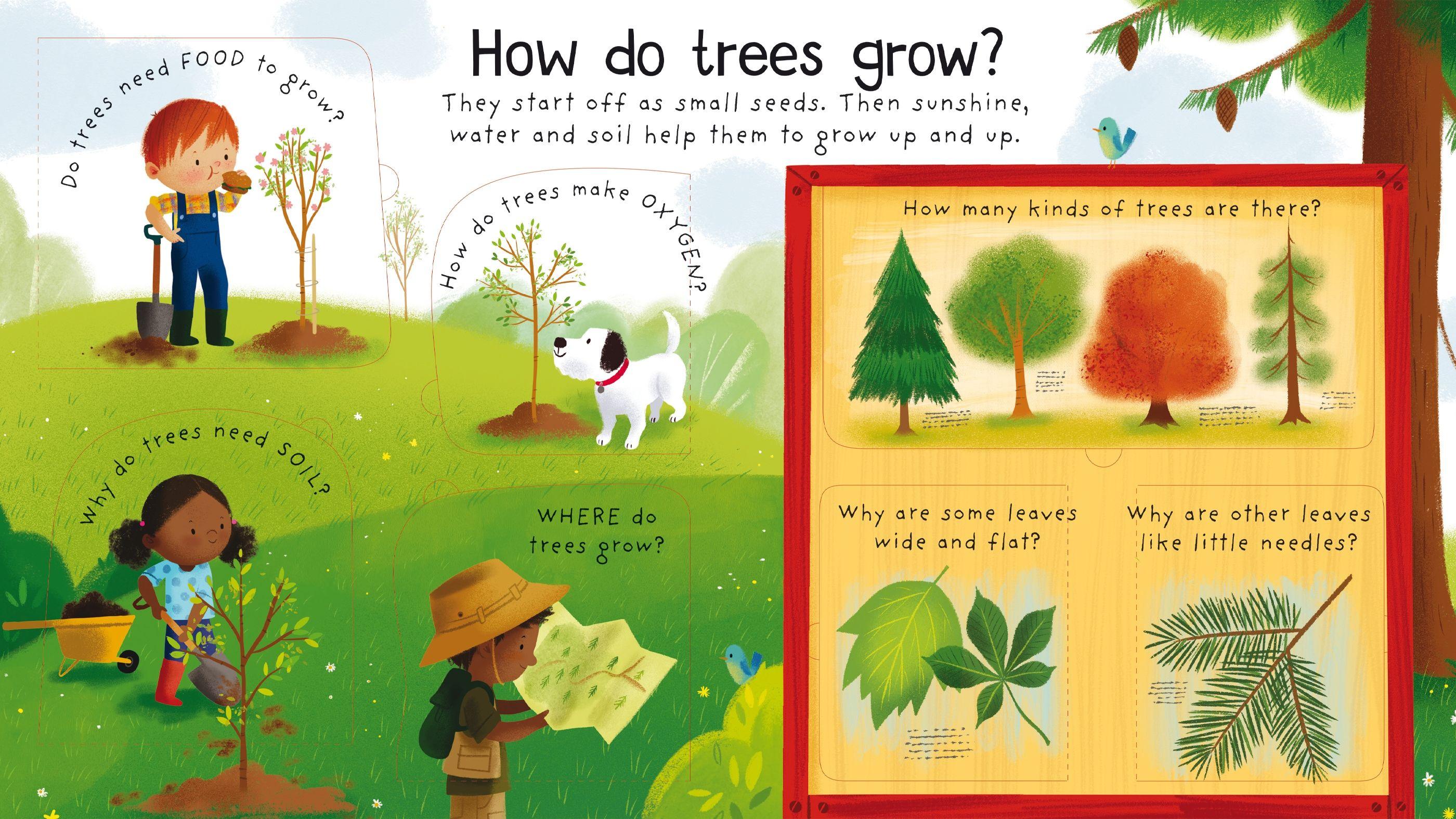 Usborne - First Questions and Answers: Why do we need trees? 4y+ | The Nest Attachment Parenting Hub