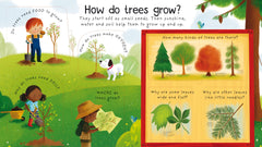 Usborne - First Questions and Answers: Why do we need trees? 4y+