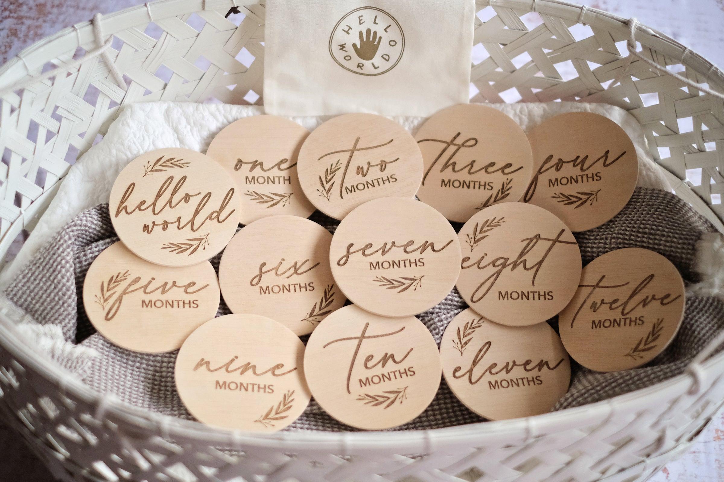 Hello World Monthly Disc Set | The Nest Attachment Parenting Hub