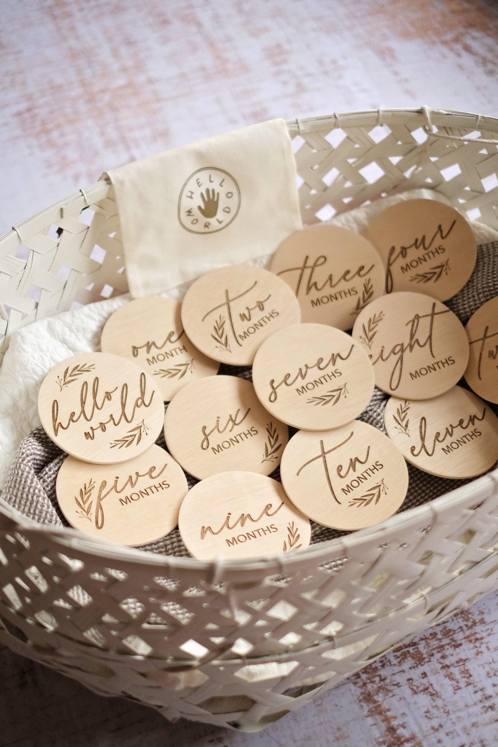 Hello World Monthly Disc Set | The Nest Attachment Parenting Hub