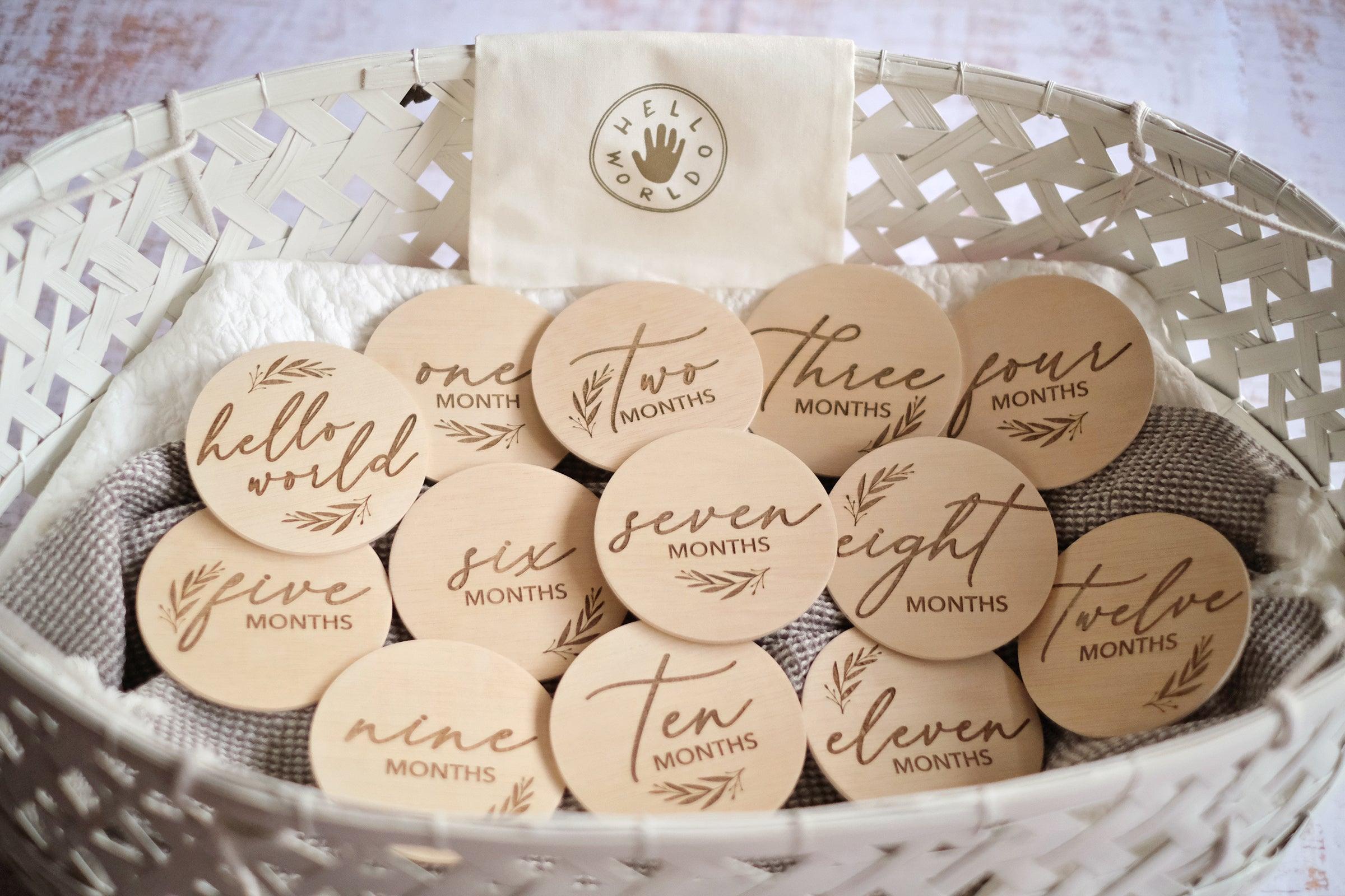 Hello World Monthly Disc Set | The Nest Attachment Parenting Hub