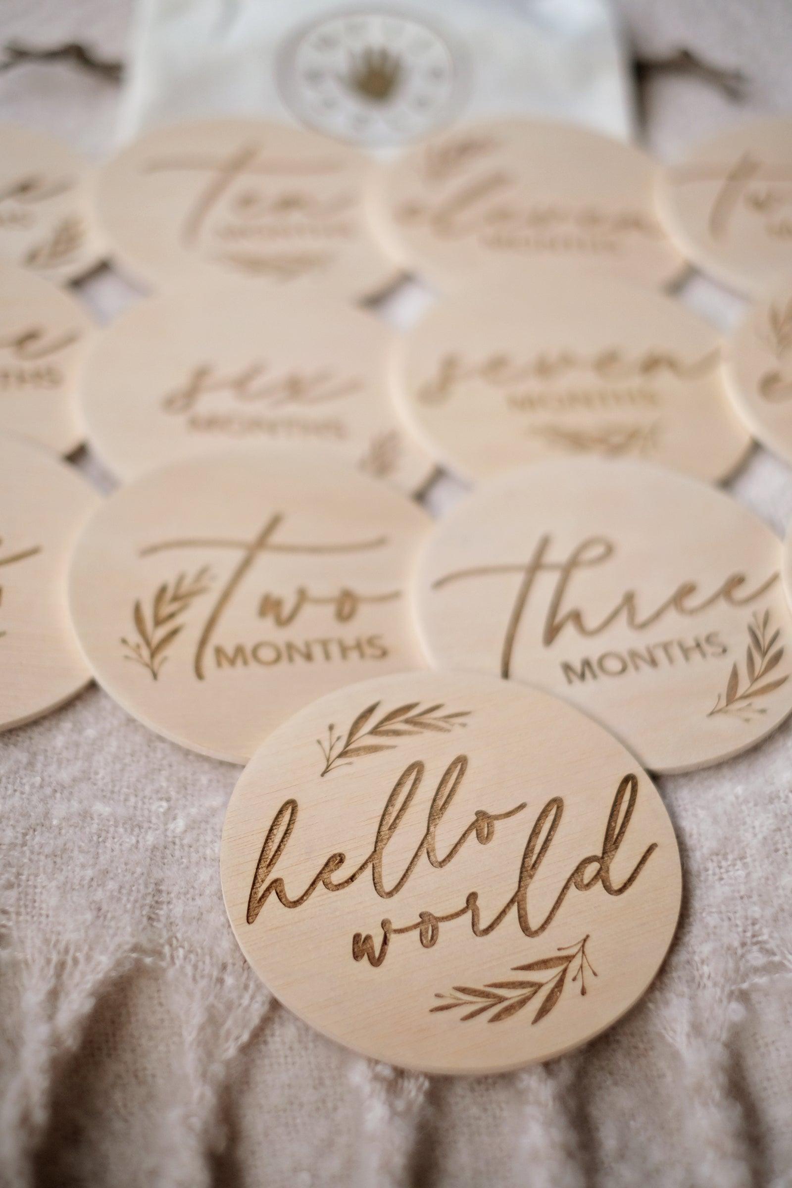 Hello World Monthly Disc Set | The Nest Attachment Parenting Hub