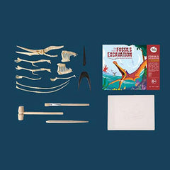 Joan Miro Fossils Excavation Kit | The Nest Attachment Parenting Hub