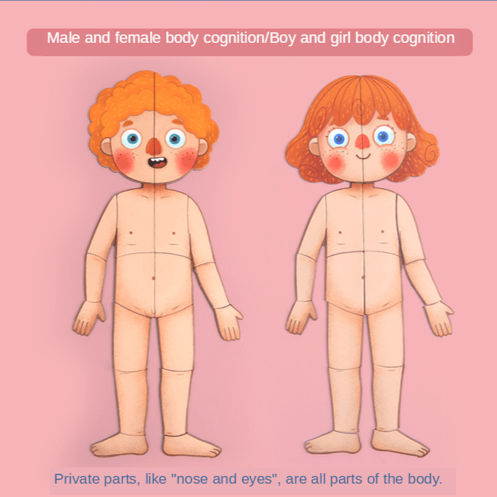 Mideer - Body Magnets | The Nest Attachment Parenting Hub