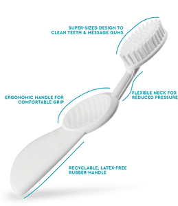 Radius Flex Brush | The Nest Attachment Parenting Hub