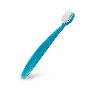 Radius Totz Brush 18m+ | The Nest Attachment Parenting Hub