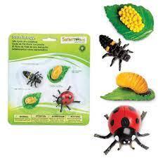 Safari Ltd Life Cycle of a Lady Bug | The Nest Attachment Parenting Hub