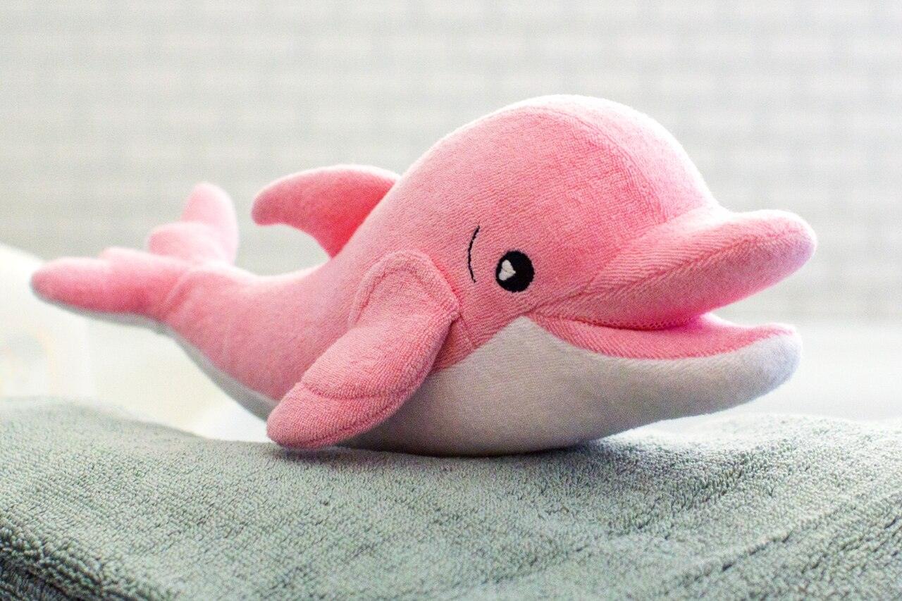 Soapsox Ava the Dolphin | The Nest Attachment Parenting Hub