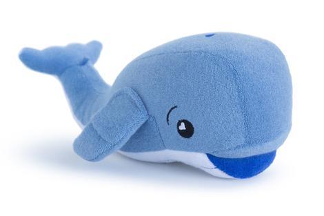 Soapsox Jackson the Whale | The Nest Attachment Parenting Hub