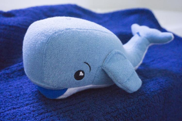Soapsox Jackson the Whale | The Nest Attachment Parenting Hub