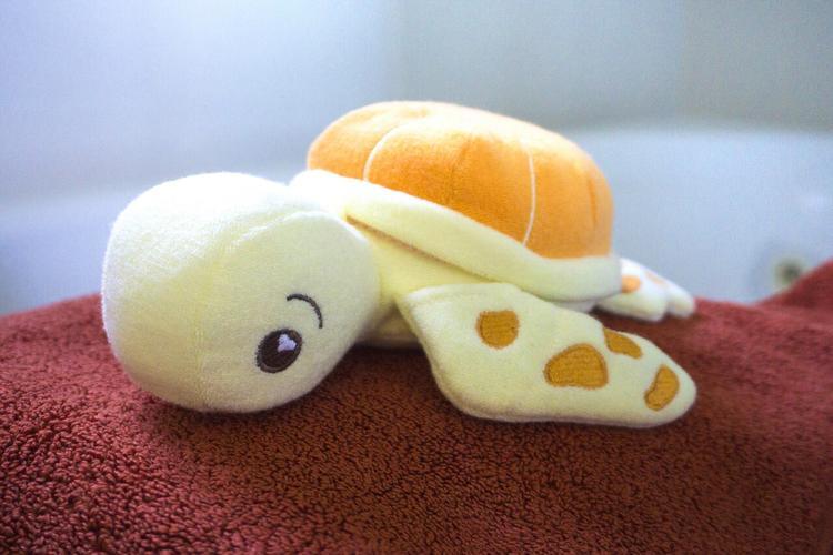 Soapsox Taylor the Turtle | The Nest Attachment Parenting Hub